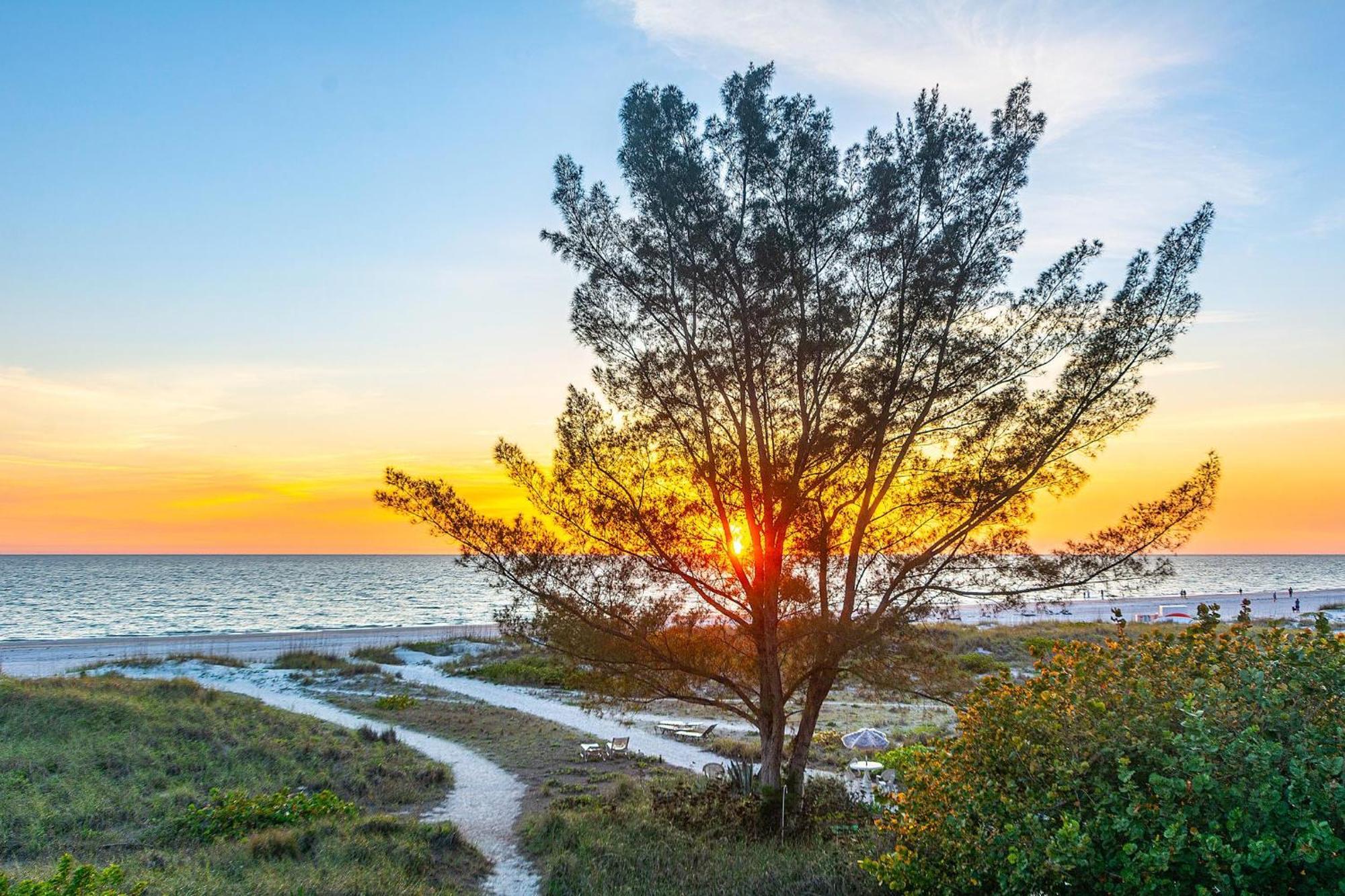 Turtleback Beach House Villa St. Pete Beach Kültér fotó