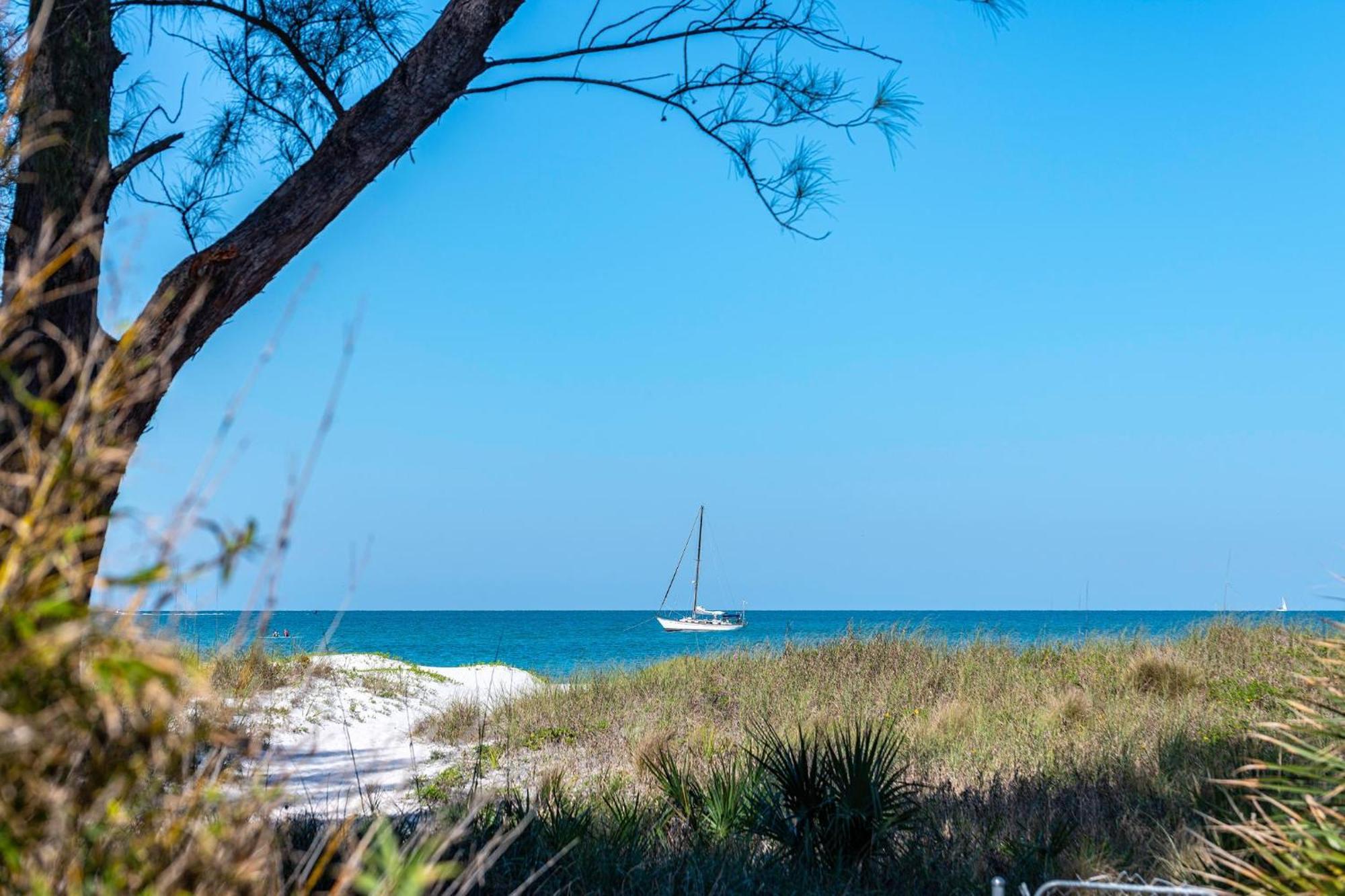 Turtleback Beach House Villa St. Pete Beach Kültér fotó