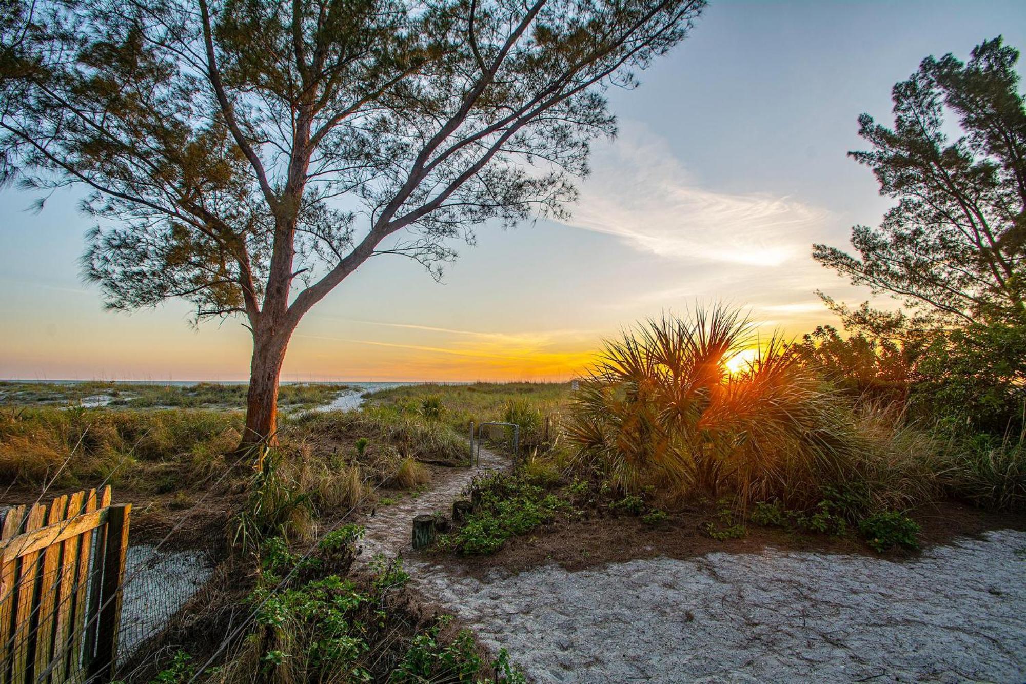 Turtleback Beach House Villa St. Pete Beach Kültér fotó